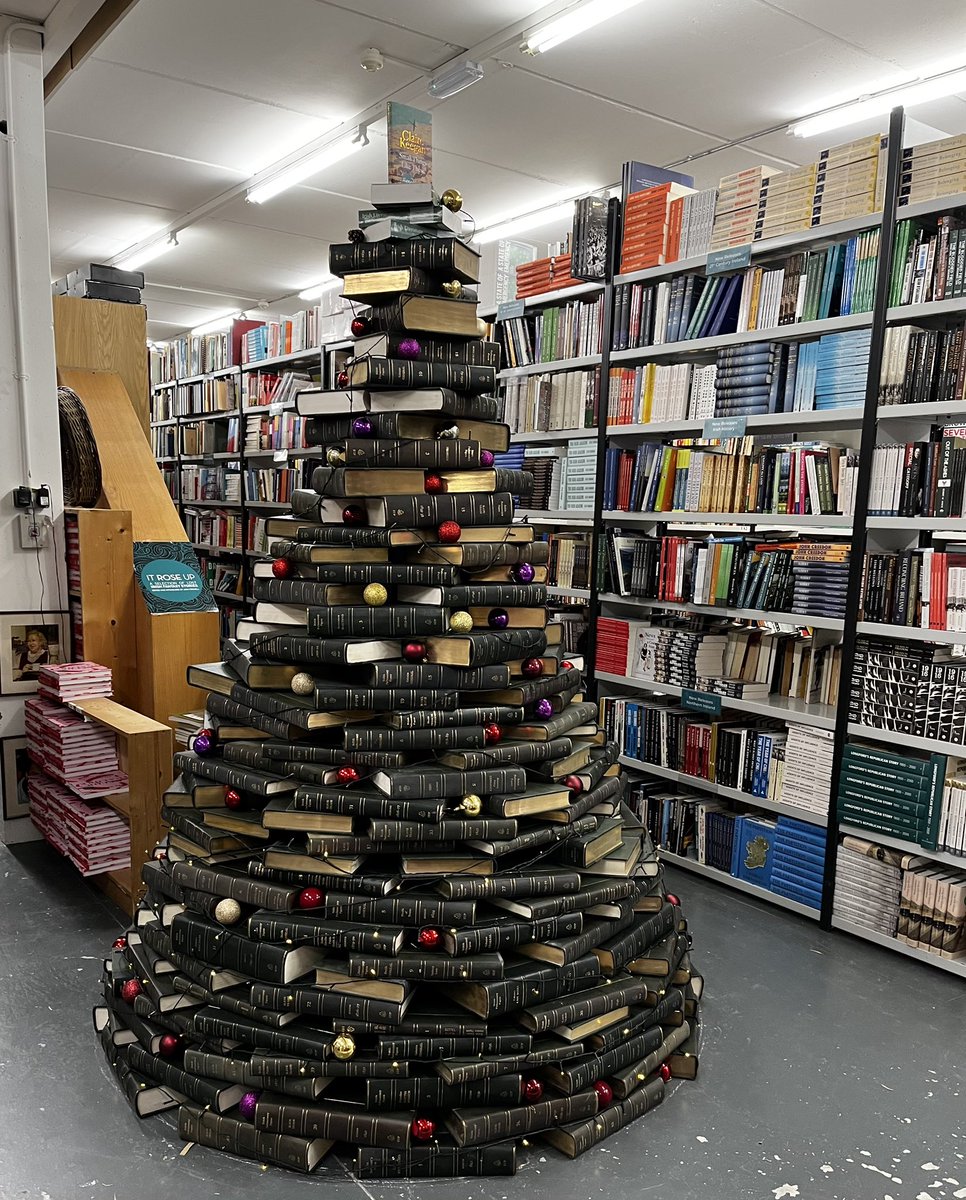 Grace Winters tweet media