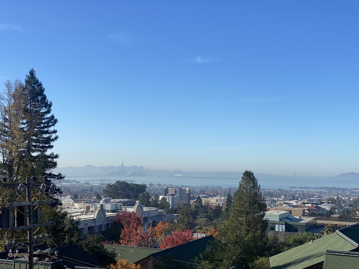 piangfa's tweet photo. Future is so bright 🤓 my life is good 😝 Thankful for @elonmusk and his work. Also appreciate @stevenmarkryan you literally solving my money problem. 💖 $TSLA #northbae #CaliforniaLove https://t.co/cKDws8Ujqs