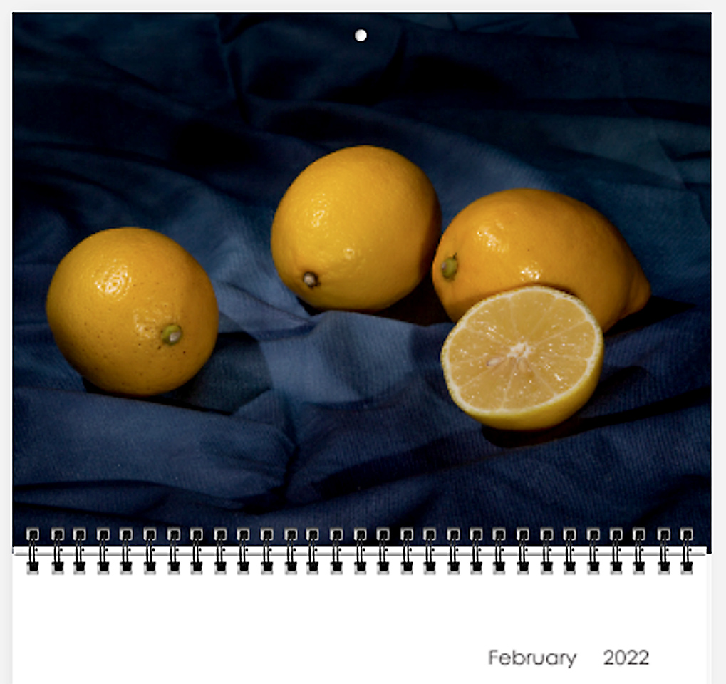 2022 Monthly Calendar - February “Lemons”.  Black Friday Sale (30% off) until the next Tuesday, 11/30.  DM me for more details.
.
.
.
.
#picturesfromlife
#instaart
#stilllifephotography   
#santabarbarachamberofcommerce 
#stilllifephotos 
#2022calendars
#holidaygift
