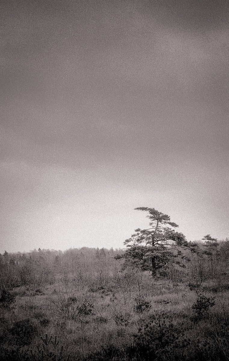 BeardedGuyPhoto's tweet photo. Wintertime is upon us https://t.co/Gv8qBUZQIJ