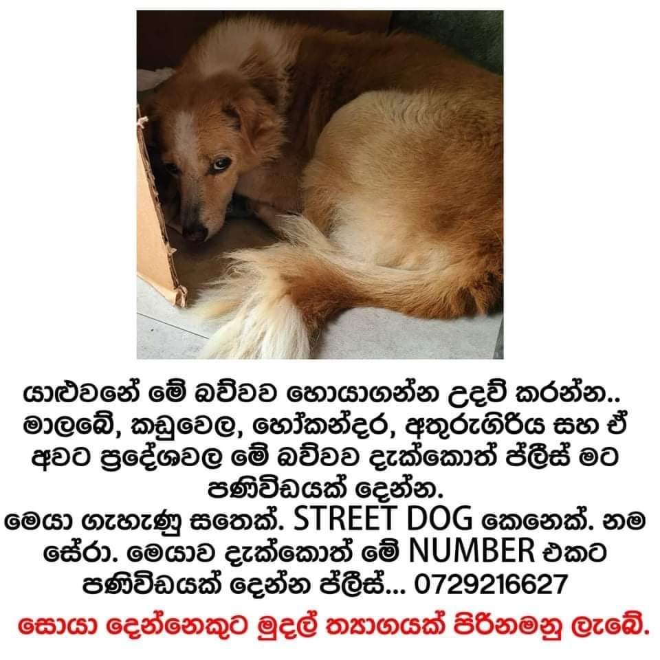 unknown_lankan's tweet photo. #help https://t.co/sL9ObWjpkP