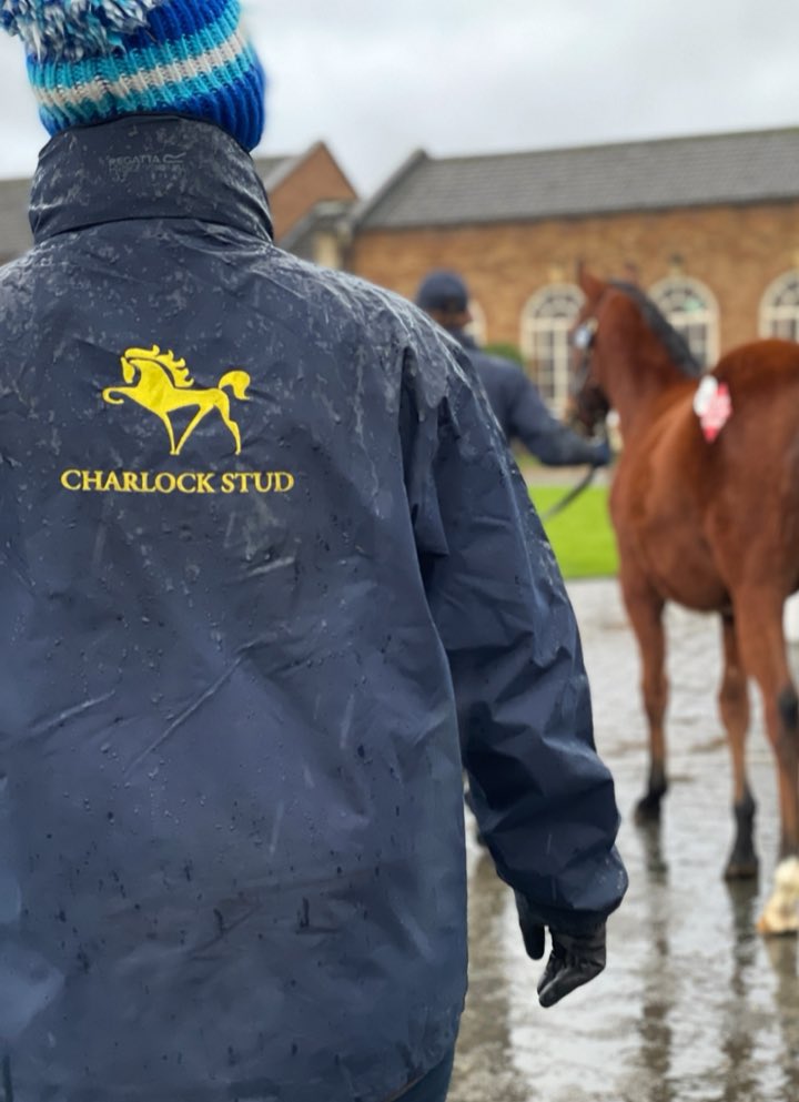 Charlock Stud-Graham&Carla tweet media