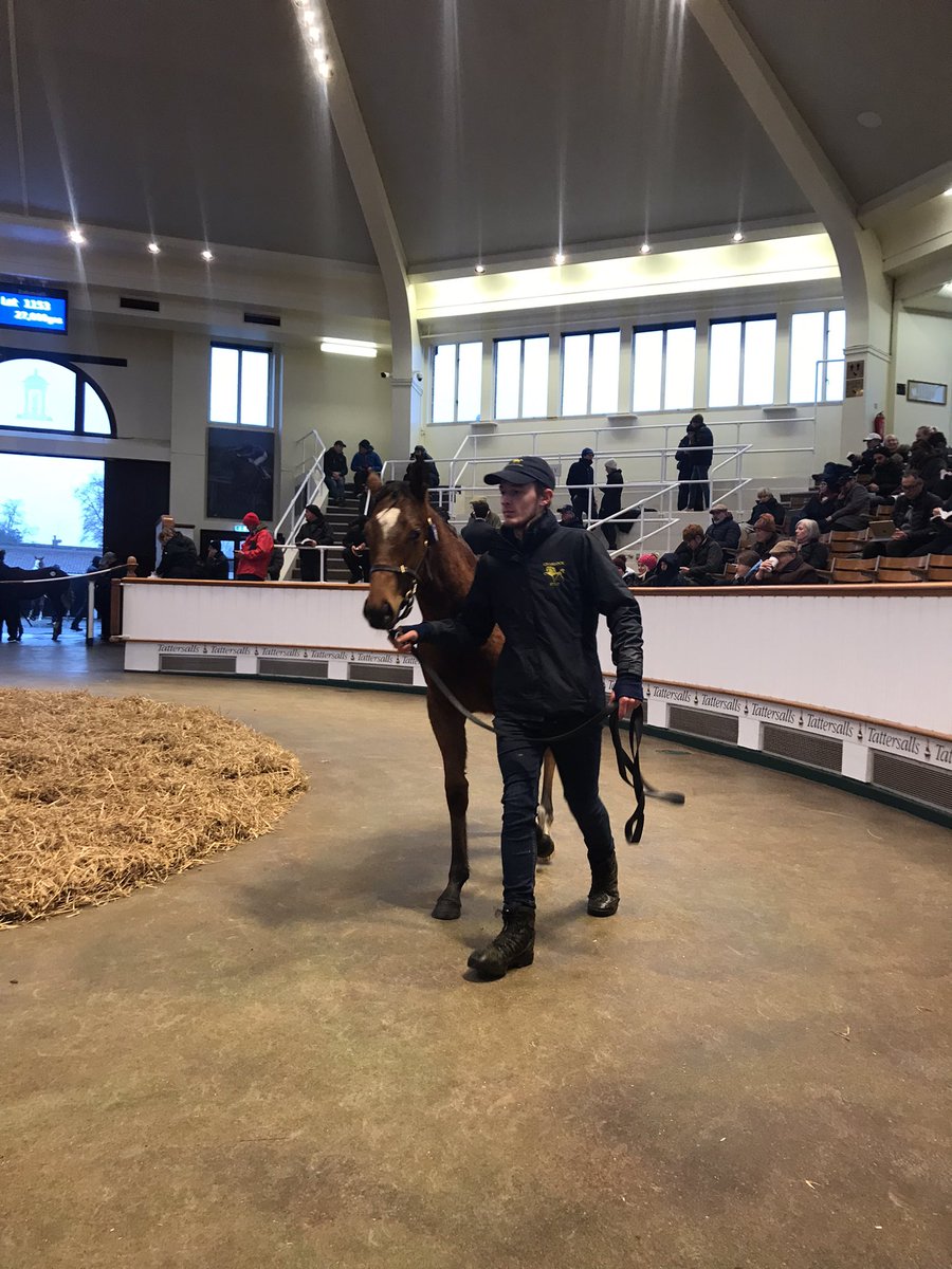 Charlock Stud-Graham&Carla tweet media