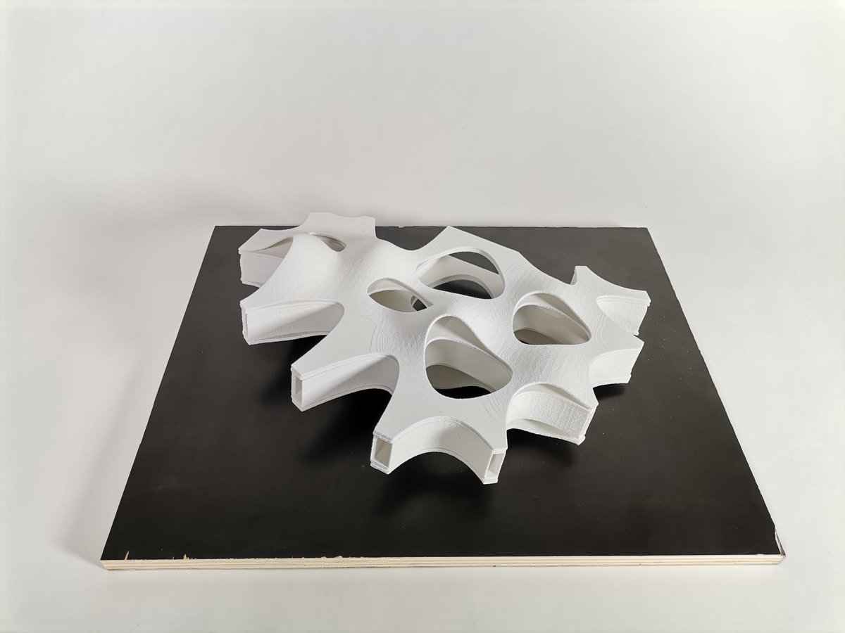 That's 3d tectonic model my husband made at School of Architecture, Umeå University