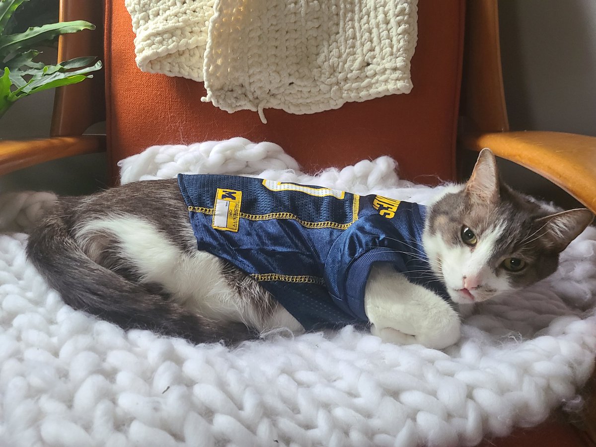 Patches says #GoBlue!! He's ready to go in as backup running back if someone can find a helmet small enough for him