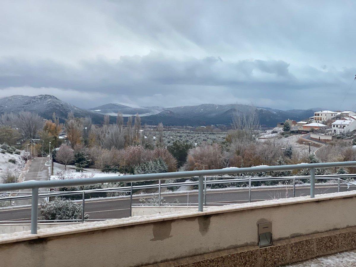 🏁🏎💨 tweet media