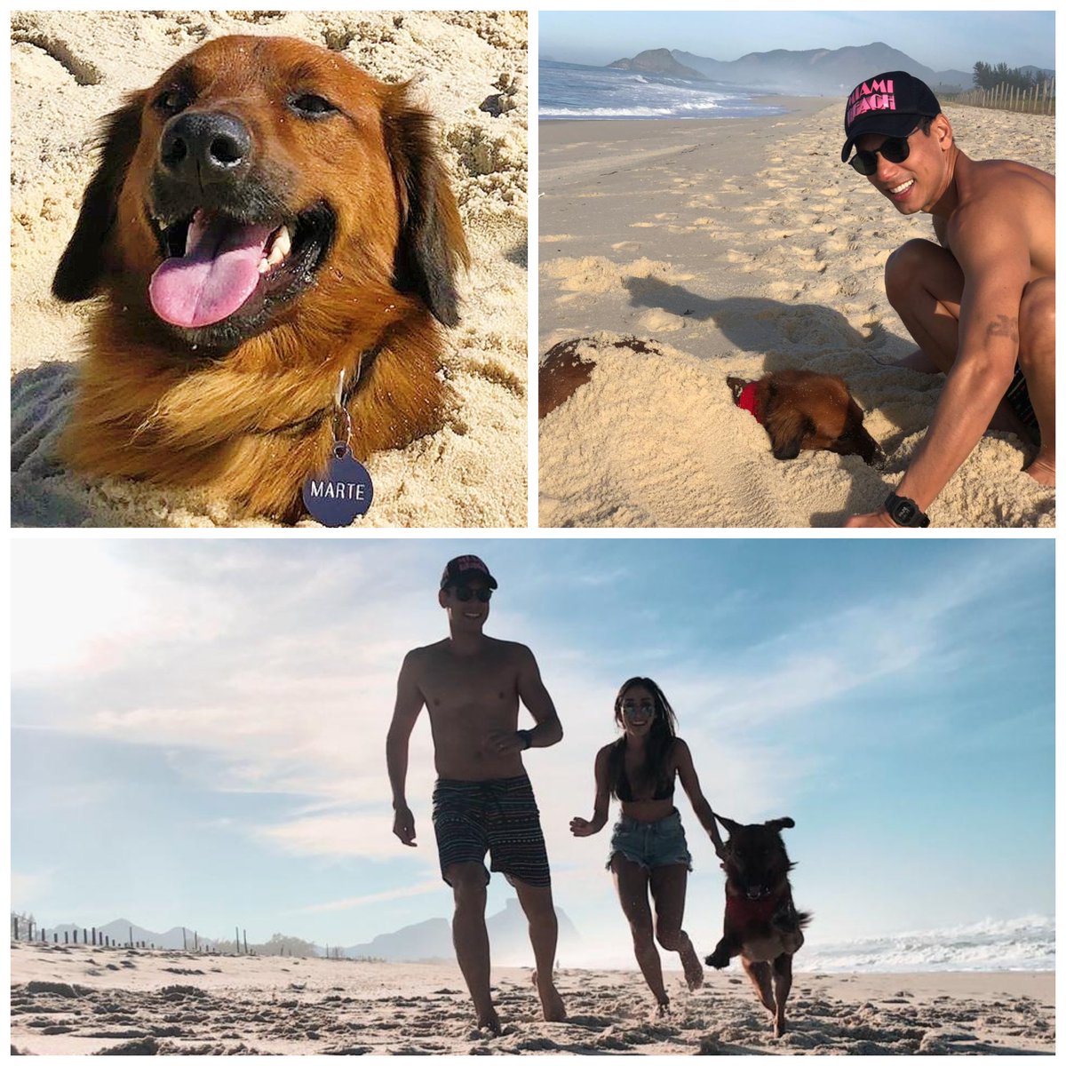 igorbprado's tweet photo. @LuisCValois Esse é o MARTE, meu filhão! Resgatado há 3 anos com 13 Kg, atualmente com 22 Kg. Quase morreu com a doença do carrapato. Depois de 6 meses de tratamento, hoje tá esse bichão corado e cheio de energia. Orgulho e alegria da casa! https://t.co/X3dJAhpG0N