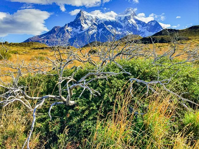 Wondering what to gift the hiker on your list? How about these 23 #Hiking Essentials!- The Globetrotting Teacher buff.ly/3xFlwjf #giftideas #cyberweekend