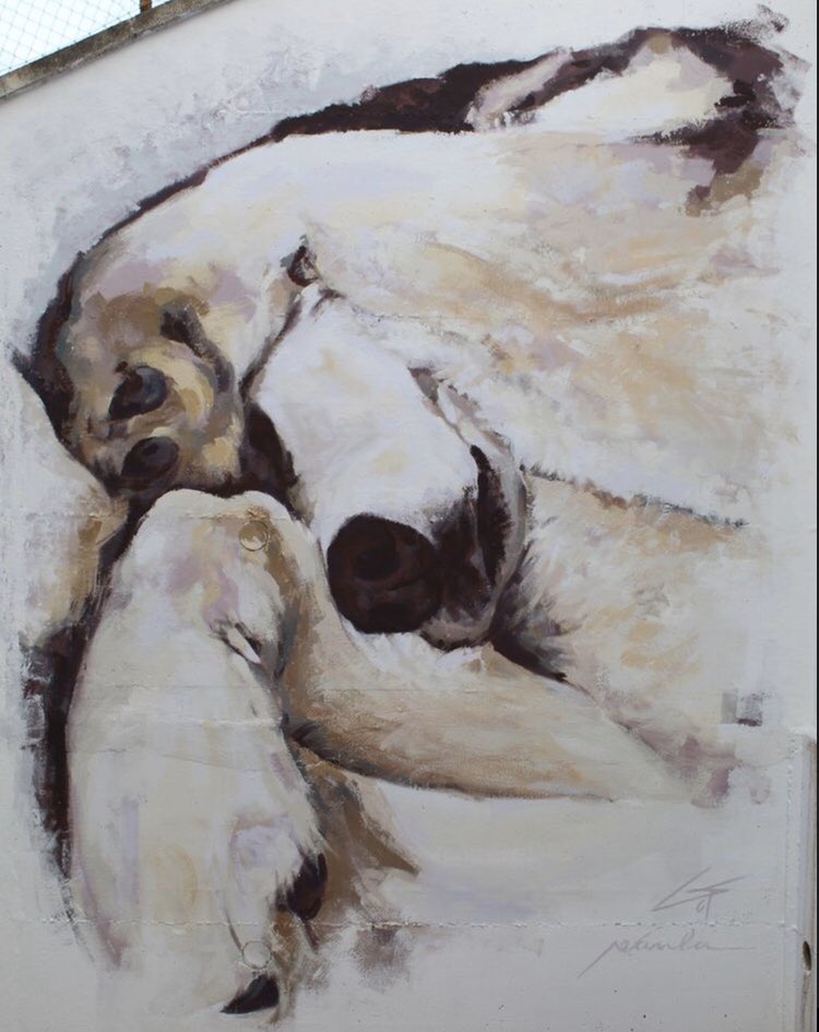 frendiwini's tweet photo. Mural que hice este verano de mi perra Sena con mi pareja, agradecería difusión 🥺🥺 https://t.co/65zGRjZWxT