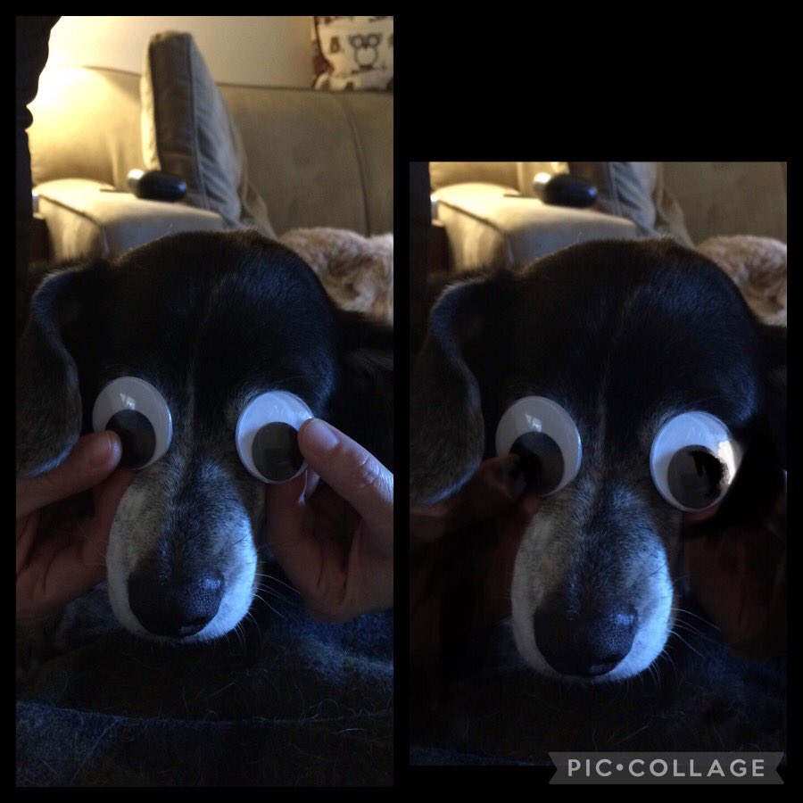 The pure joy I get from <a href="/KristaSamuels12/">Krista Mathis</a>’s use of googly eyes suggest I may not really be a mature adult.