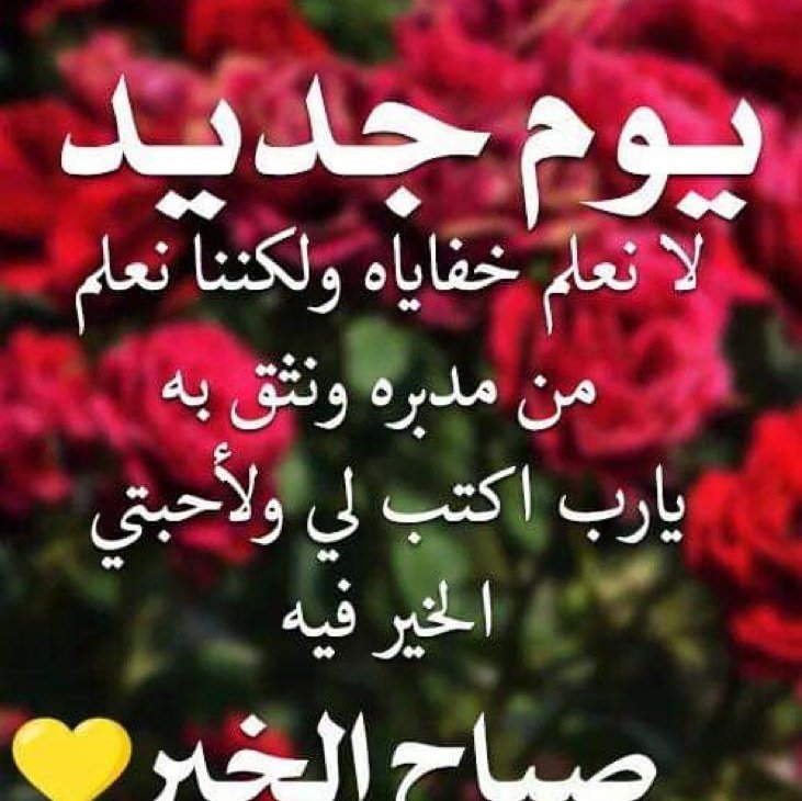 #صورة_ملف_شخصي_جديدة