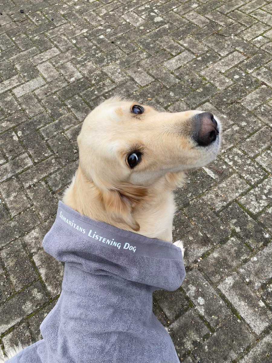 Siri has a smart, new coat in readiness for our #Outreach activities next year #notallvolunteershavetwolegs