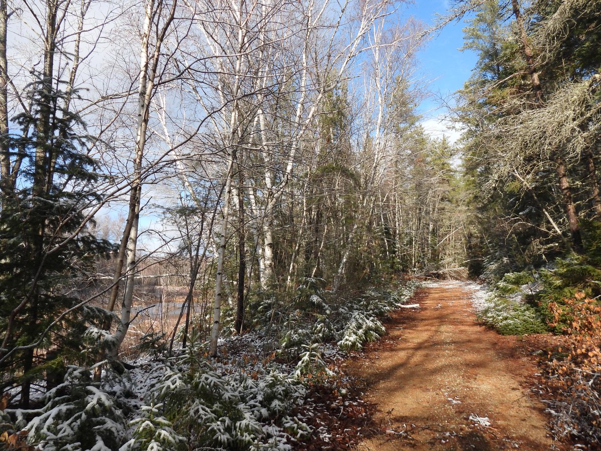 lorimunn99's tweet photo. 🇨🇦❄️🌨️ #winterwalk #firstsnow #winter #walk #hike #nature https://t.co/8dXrtN2RHY