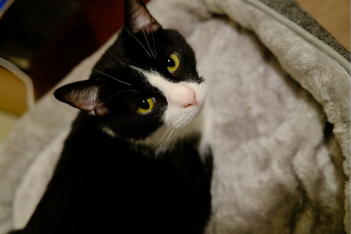 Cody Bryant tweet media