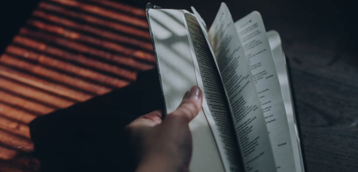 newgrowthpress's tweet photo. "It will take only a few minutes to read this post, but it may be the most needed few minutes of the rest of your day." - @ElizaJaneHuie, author of @WholeLifeBook 

https://t.co/dzmENu0gts @biblicalcc https://t.co/ZL3EuerRq7