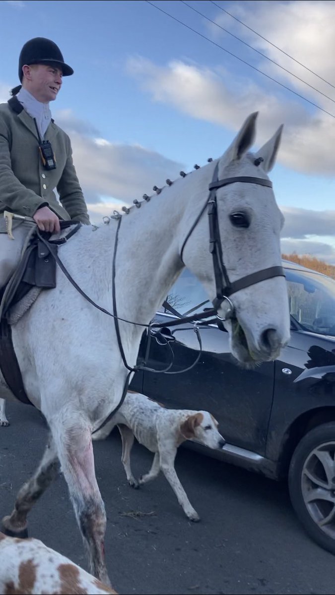 KatePow3ll's tweet photo. We sabbed the Lanarkshire &amp; Renfrewshire hunt today.. There were no confirmed fox kills but LOOK at the absolute state of the hounds. I feel broken not being able to help them, knowing they’ll most likely be killed after a few seasons (or sooner). More victims of human bloodlust. https://t.co/65IdVLEydg