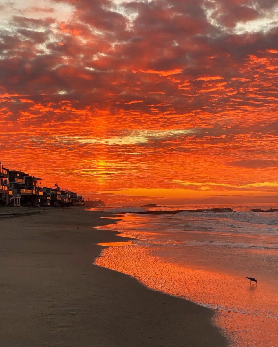 necesito ir a ver un atardecer en la playa