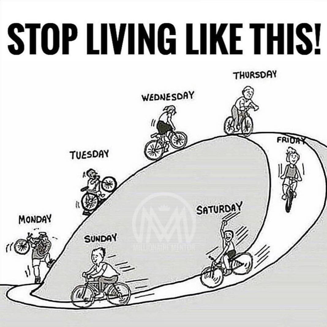 CryptoSlut645's tweet photo. The world is full of sheep, make something of
yourself. https://t.co/DygcMaVdtp