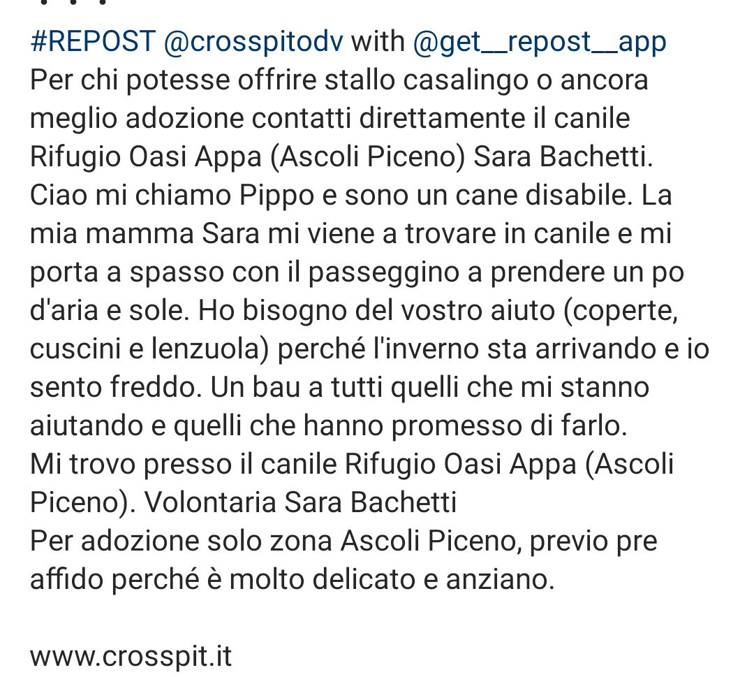 zampa_qua's tweet photo. STRAURGENTISSIMO 🆘🆘🆘🆘https://t.co/HLycxIx4dO info profilo oppure  crosspitodv@gmail.com
🐕PIPPO E ANZIANO HA BISOGNO DI AMORE,CERCA CON URGENZA UNO STALLO I UNA ADOZIONE DEL CUORE ❤️ VI PREGO FACCIAMOLO USCIRE, SALVIAMOGLI LA VITA 😔🏠🙏 
@PlanetSurfinia https://t.co/THs16ZJqWx