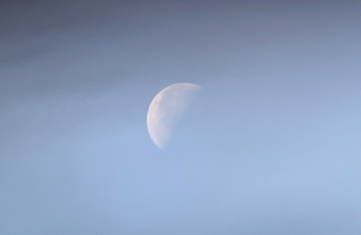 Alexander Wong tweet media