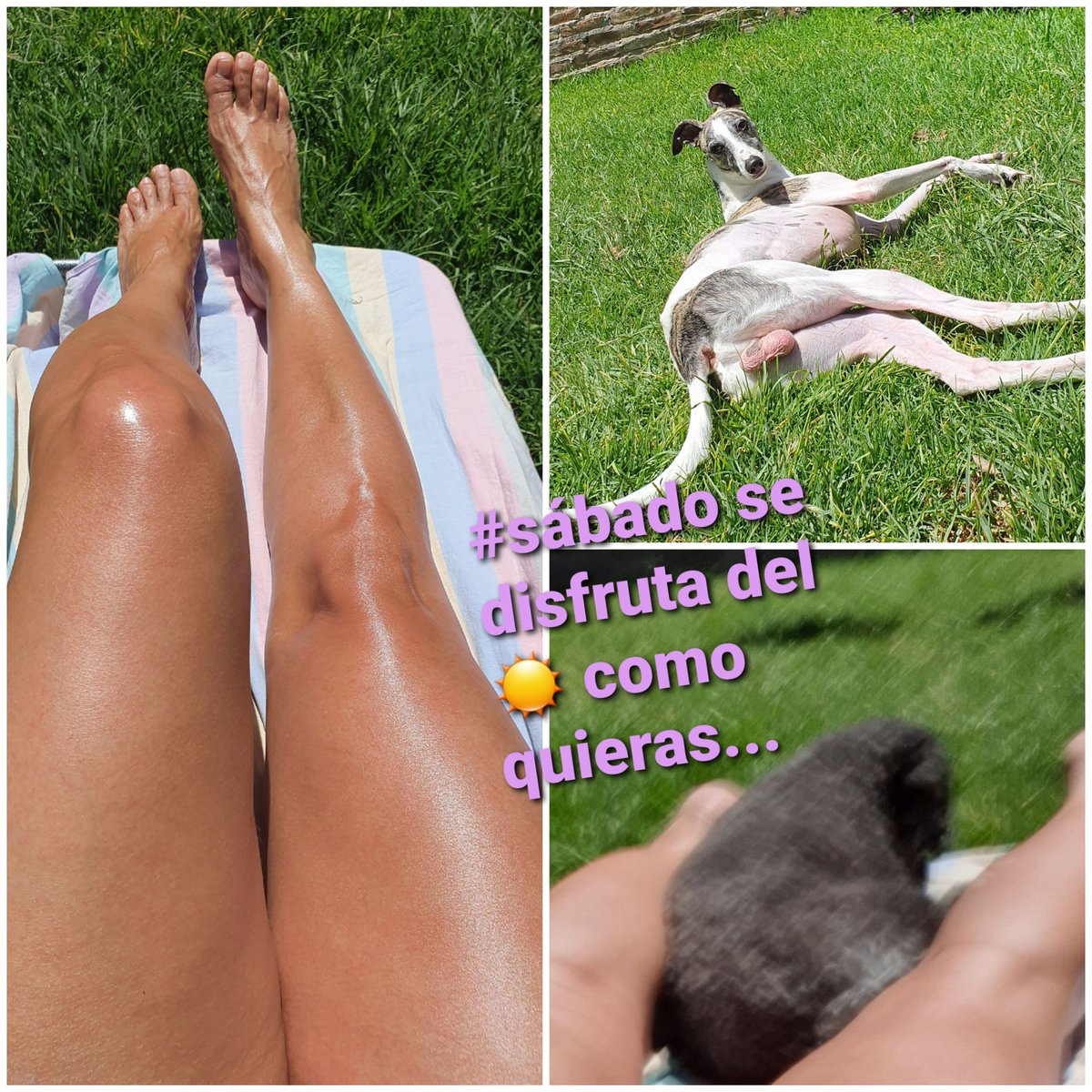 Nan_CARP's tweet photo. #sábado de #SOL 
#findesemana se #disfruta https://t.co/RI2gnqktHX