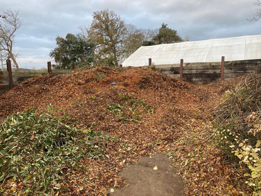 millfieldg_g's tweet photo. A mountain of leaves collected over the last week or so, thankless task by the gardeners, top work @turfisup &amp; team👏Immaculate rugby surfaces for this weekends fixtures, fantastic work by @Punchard82 and the team  👌@MillfieldRugby @MillfieldSport @MM_Seed  @TurfBusiness https://t.co/5HPSX9CJp4