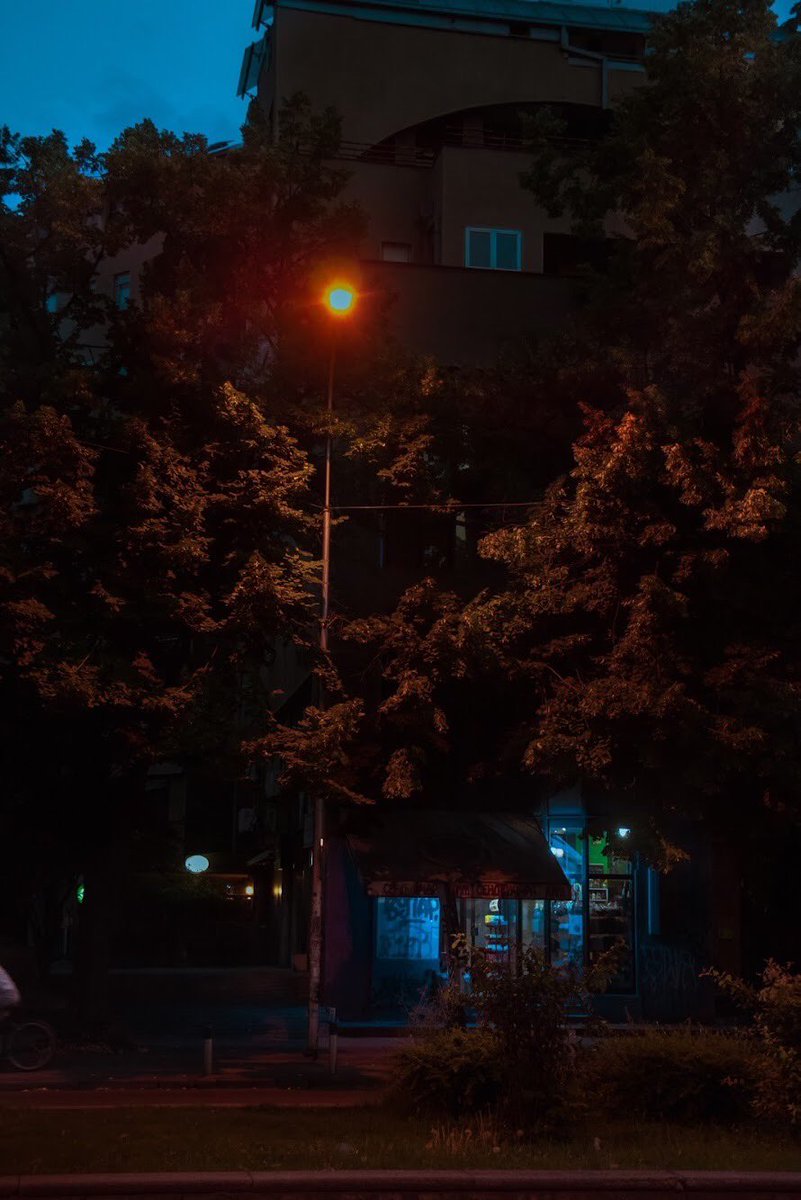 orangexphoto's tweet photo. Different kind of pics but all have one goal…
The are the madness of my craziness in wich im about you… https://t.co/GALIIMvlWD