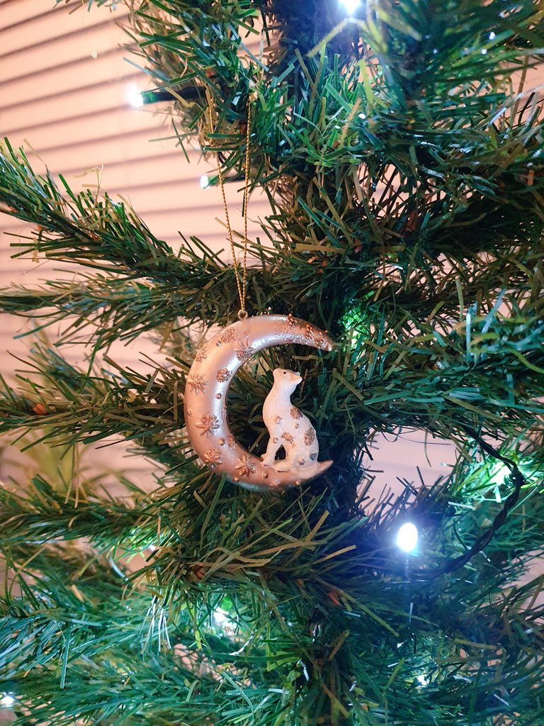 MsEmJam's tweet photo. So we found this bauble which reminded us of #TheEarlessOne. He has pride of place with us all around him #WeMissHimSoMuch https://t.co/UFGxQDd4kc