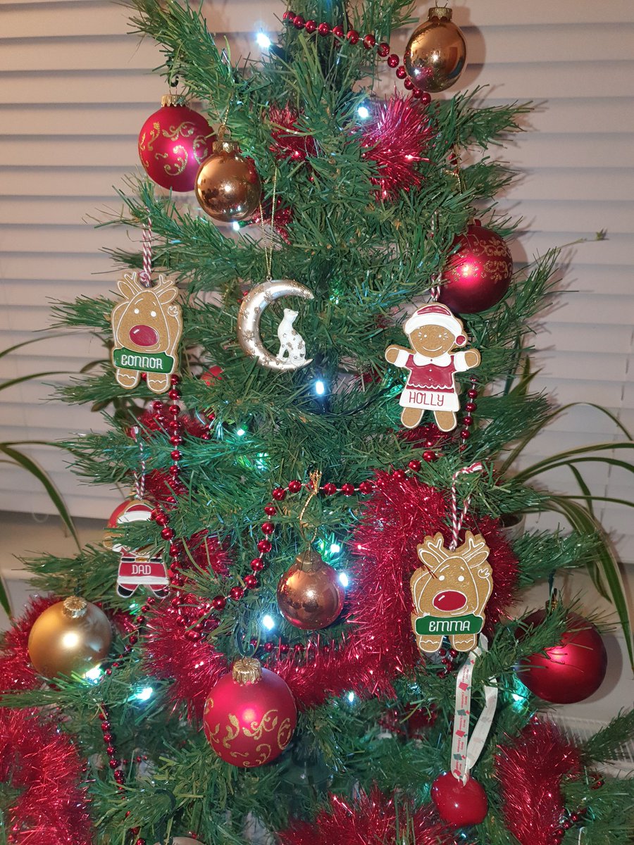 MsEmJam's tweet photo. So we found this bauble which reminded us of #TheEarlessOne. He has pride of place with us all around him #WeMissHimSoMuch https://t.co/UFGxQDd4kc