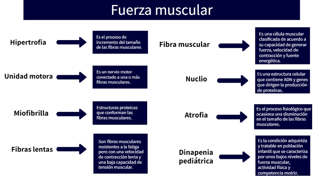 SafaabjU's tweet photo. En la última clase de educación física hemos visto 👀 algunos conceptos relevantes de la 'fuerza muscular'💪 mediante el juego de sopa de letras. A continuación, os adjunto alguno de ellos y su respectiva definición. 

@EFsaludable_UIB #22121_uib https://t.co/NLGvaOuGiA