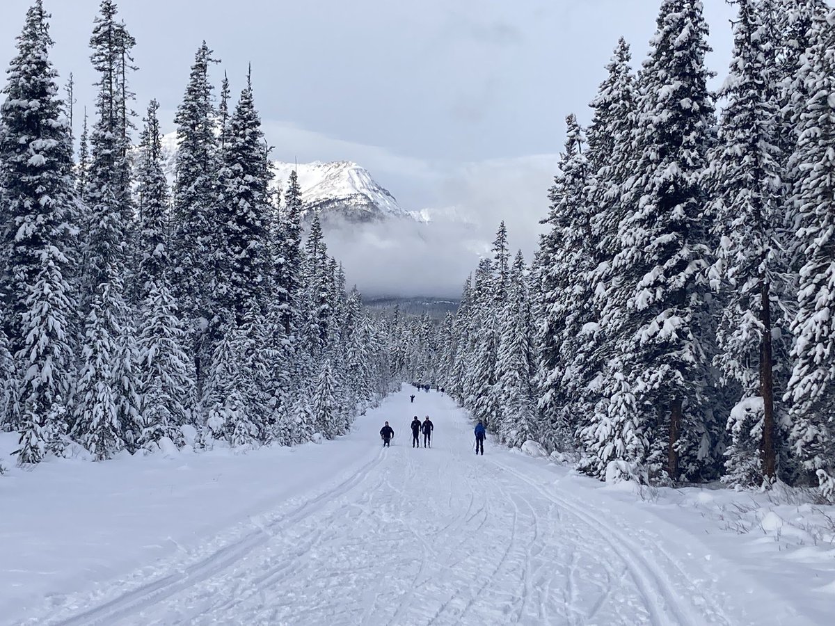 ViSandford's tweet photo. A fun way to spend a snowy Saturday with my #Canmore friends. Lake Louise 1A ski. https://t.co/q15zibCRQA