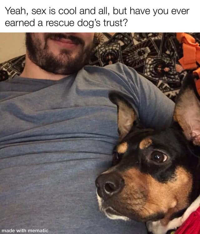 WholesomeMeme's tweet image. 