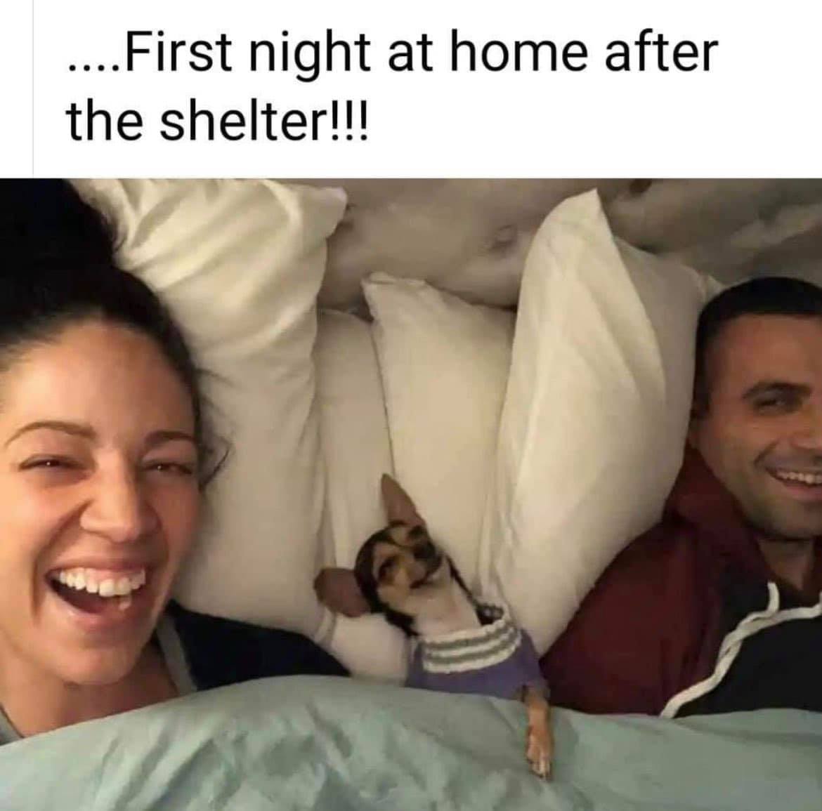 WholesomeMeme's tweet photo. https://t.co/yYefSq4kW2