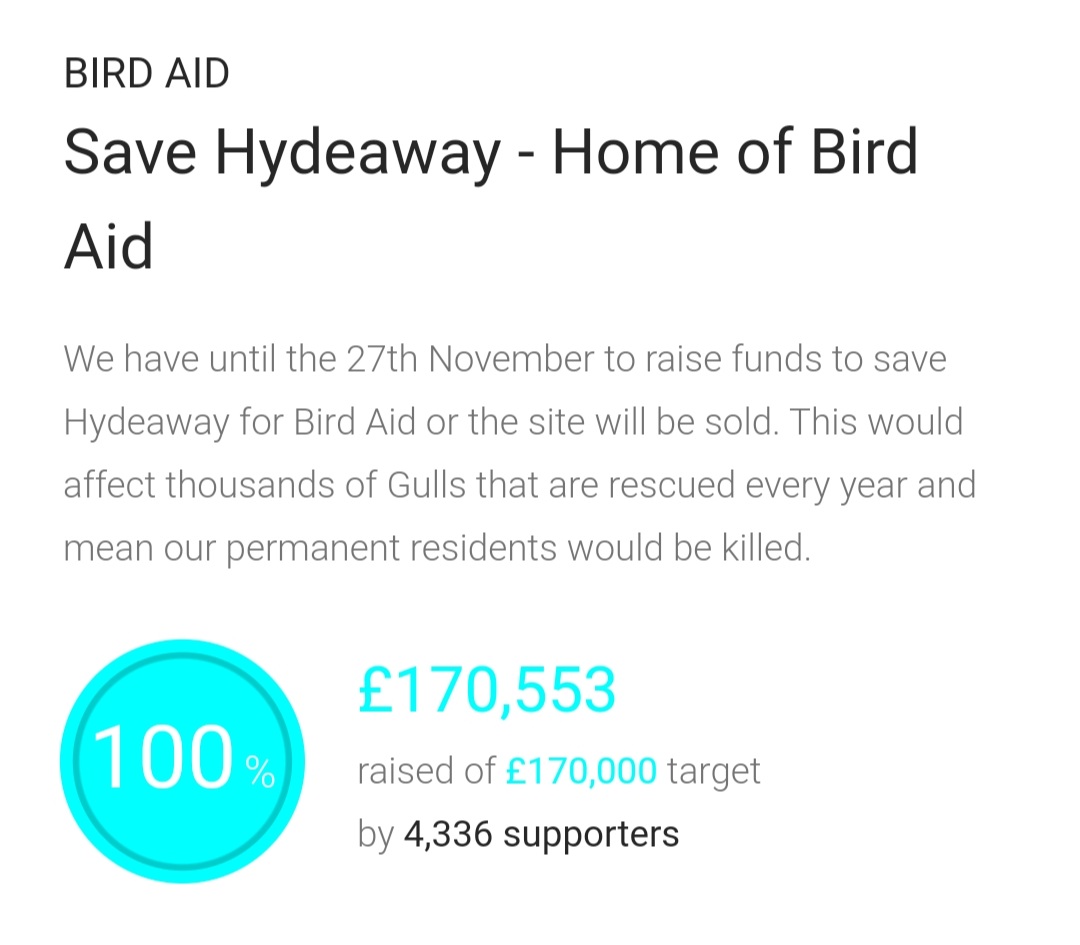 medicalinguist's tweet photo. OMG WE DID IT!!! Thank you to everyone who helped #SaveBirdAid! @DERVIEMOO https://t.co/VLcxadCgVs