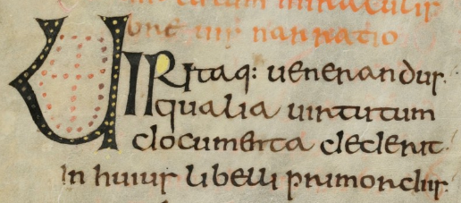 Hello #medievaltwitter! As we've been celebrating the centenary of St Columba's birth, I thought, what better way to end the year than with a #transcriptionchallenge! Try your hand at Adomnán's Life of Columba from the Schaffhausen MS: fromthepage.com/nicolev/schaff… #colmcille1500