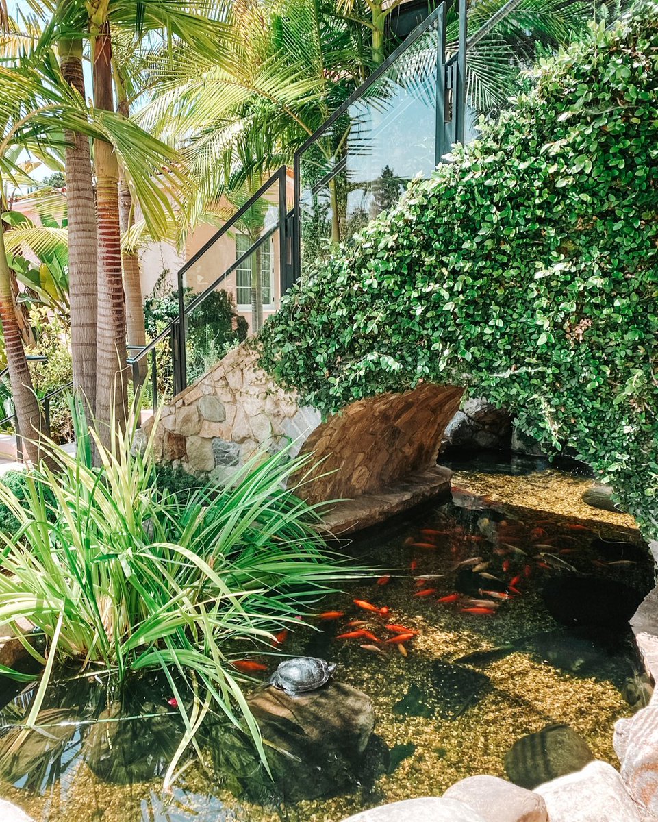 Beauty around every corner. 🌿