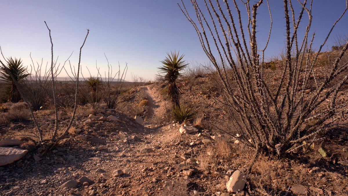 Looking forward to getting back to some desert trails!

#Hiking #DesertHiking #LasCruces #NewMexico #LandscapePhotography #Desert #DesertLandscape