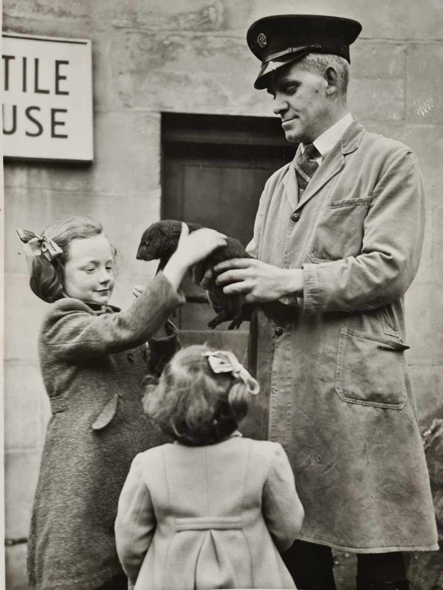 pollydrake75's tweet photo. @EdinburghZoo My Great Uncle, David Wilson, Head keeper at the Reptile house, Edinburgh Zoo Circa 1950s. https://t.co/nmkW0tI8l9