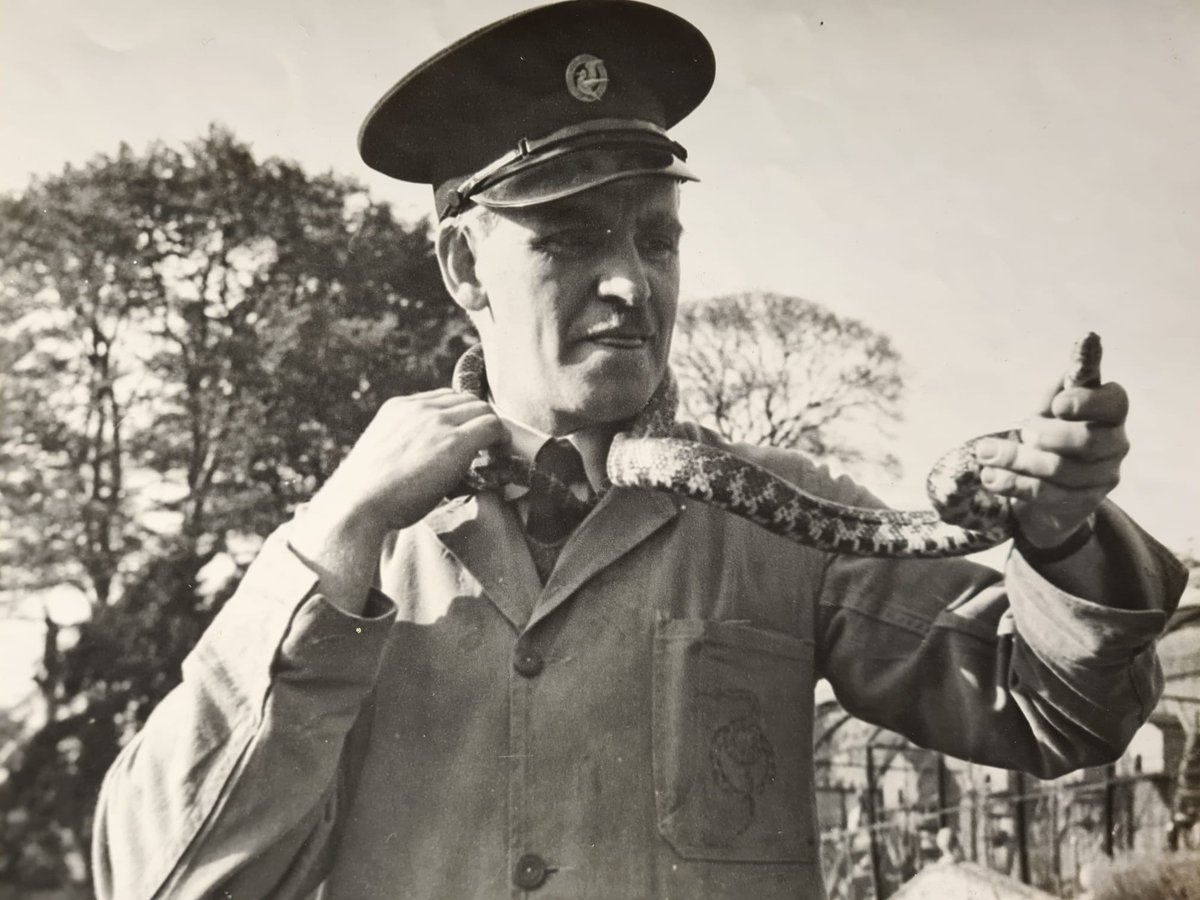 pollydrake75's tweet photo. @EdinburghZoo My Great Uncle, David Wilson, Head keeper at the Reptile house, Edinburgh Zoo Circa 1950s. https://t.co/nmkW0tI8l9