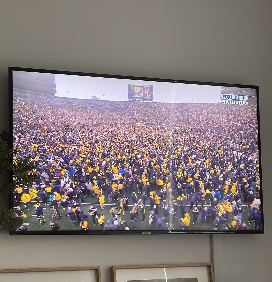 Martha Friedner tweet media