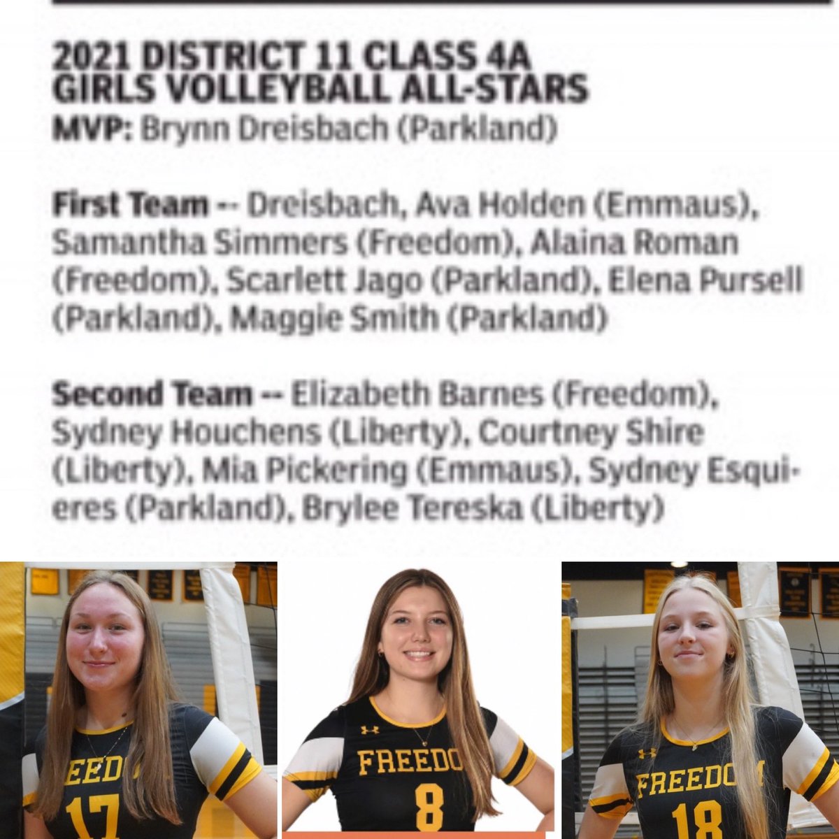 Freedom Volleyball tweet media