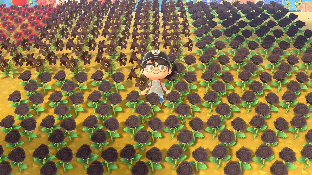 animalcorgsing's tweet photo. does anyone want flowers delivered before I toss them all??? the black roses are perfect for gold rose farming ✨✨✨ #acnh https://t.co/KJ7Uxc8Rzf