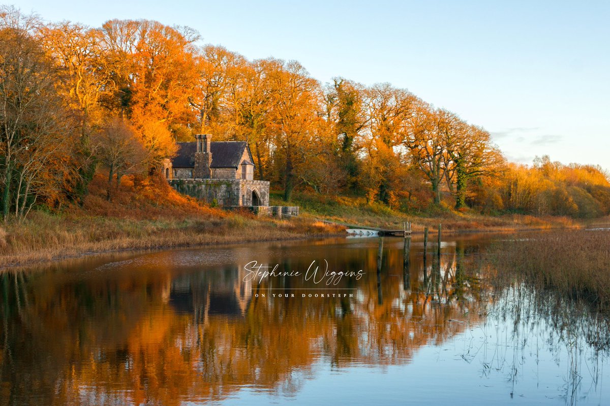 Golden reflections at Crom Estate, Fermanagh.