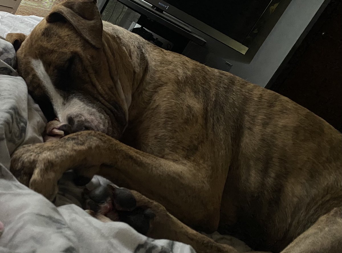 Fiona McDermid tweet media