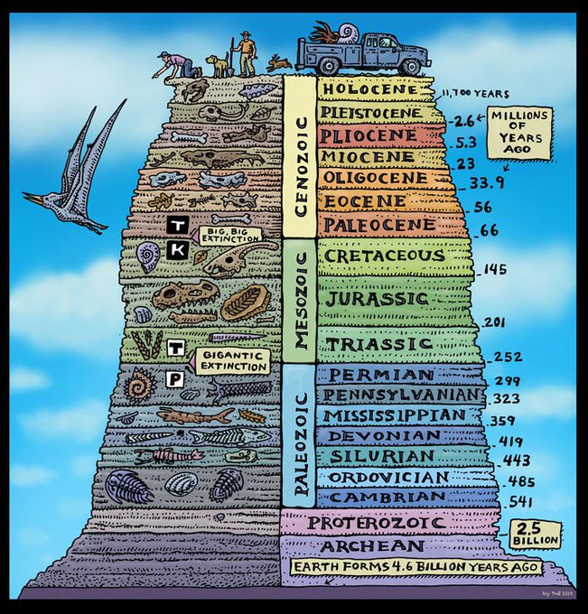 This Geologic Time Scale drawn by Ray Troll shows how life has evolved and changed over the eons of time, giving each period a distinct group of fossils that can be recognized worldwide [source: ow.ly/FAGA50AohbE]