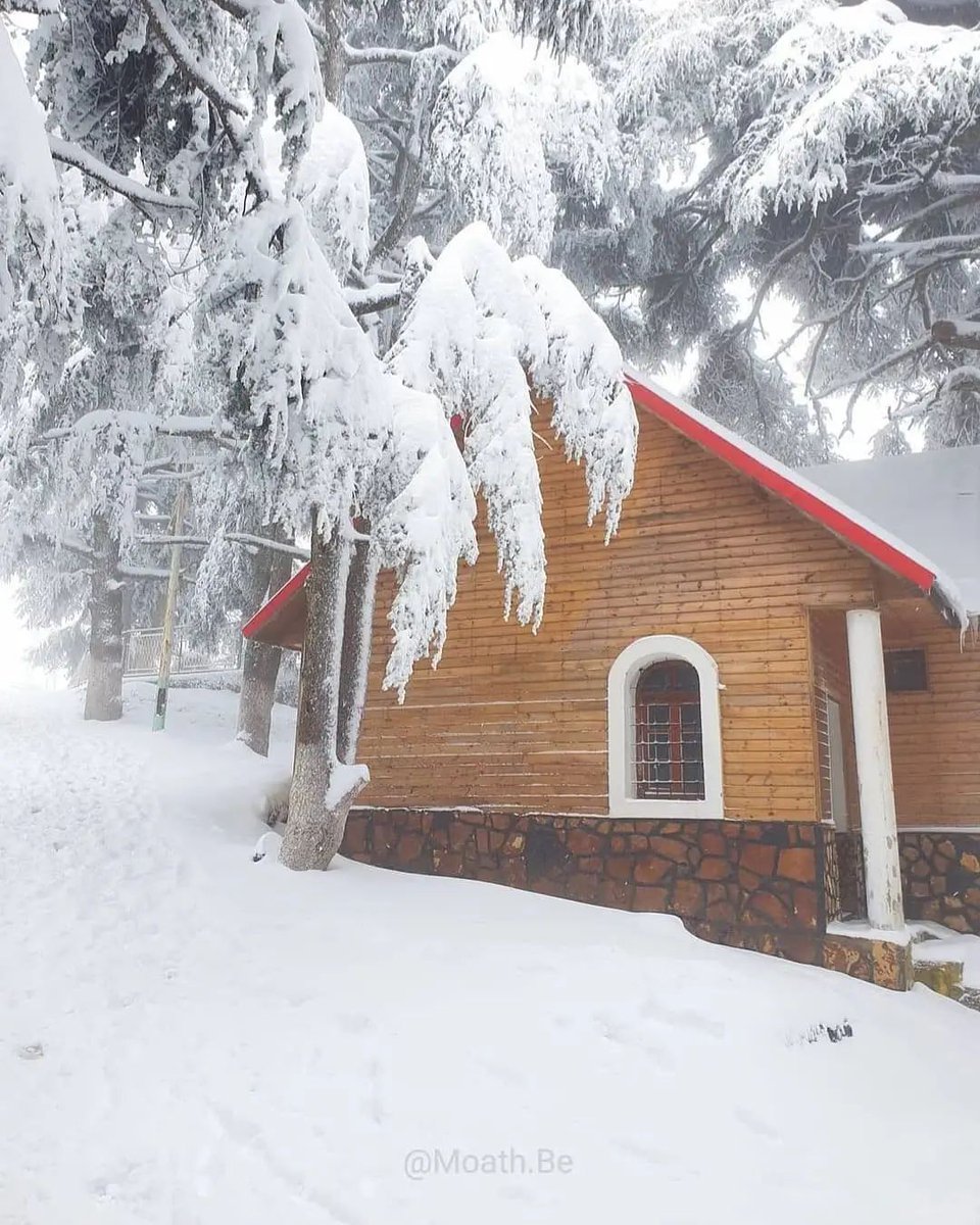 Bonoise23Dz's tweet photo. حظيرة الشريعة البليدة الجزائر ☃️🇩🇿❣
National Park Chréa Blida Algeria ⛄🇩🇿❣️ https://t.co/5K9dTuL3Nc