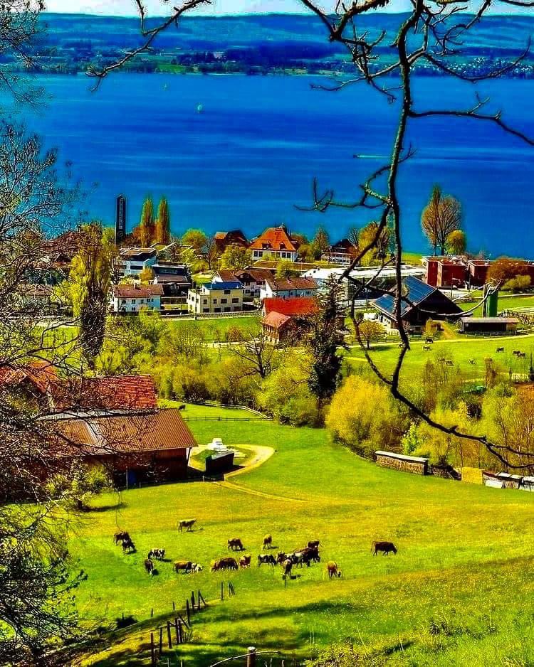 RobertoAbanto's tweet photo. Nature for You. https://t.co/4gNF2dK6z9
