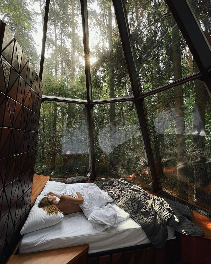 BrendaC82258759's tweet photo. If I were going to sleep in the woods, this would be it. Beautiful view to wake up to. @dimash_official is a beautiful voice to wake up to as well. I listen #FlyAway #BeWithMe plus songs from his ID album everyday🤗🎶 #DearsSupportDimash Spotify•YouTube•All Platforms https://t.co/rYX4gFuw4t