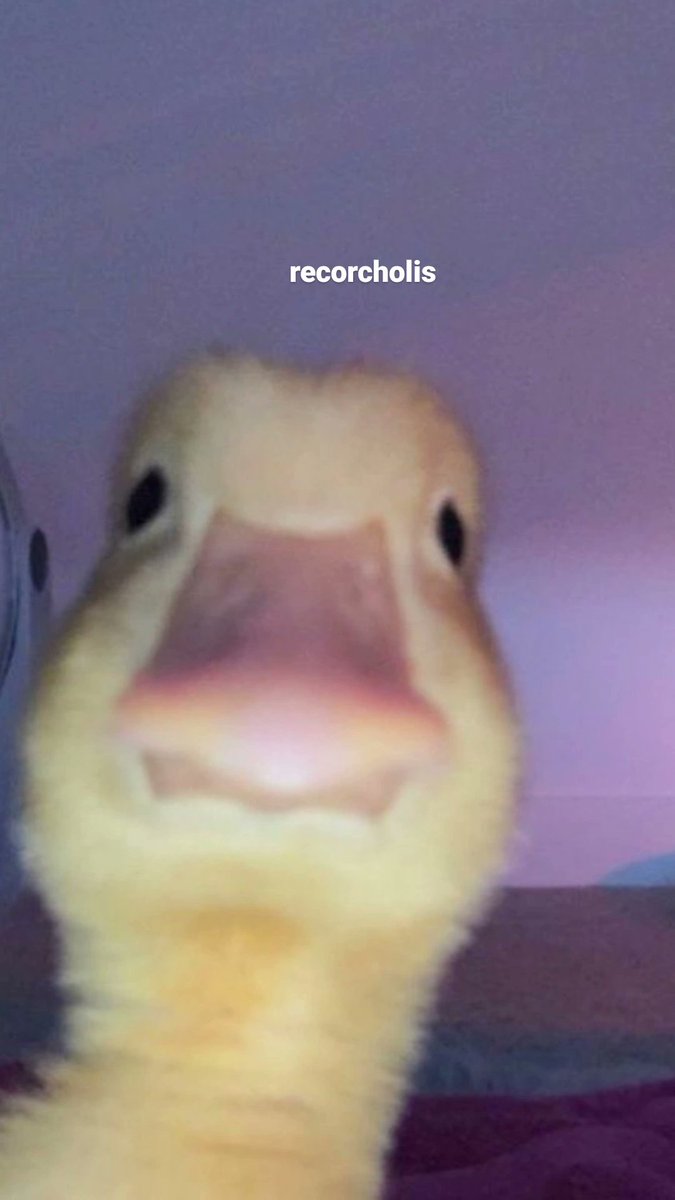 aliciabarraganm's tweet image. el profe: perdon por la palabra q voy a decir 
la palabra: