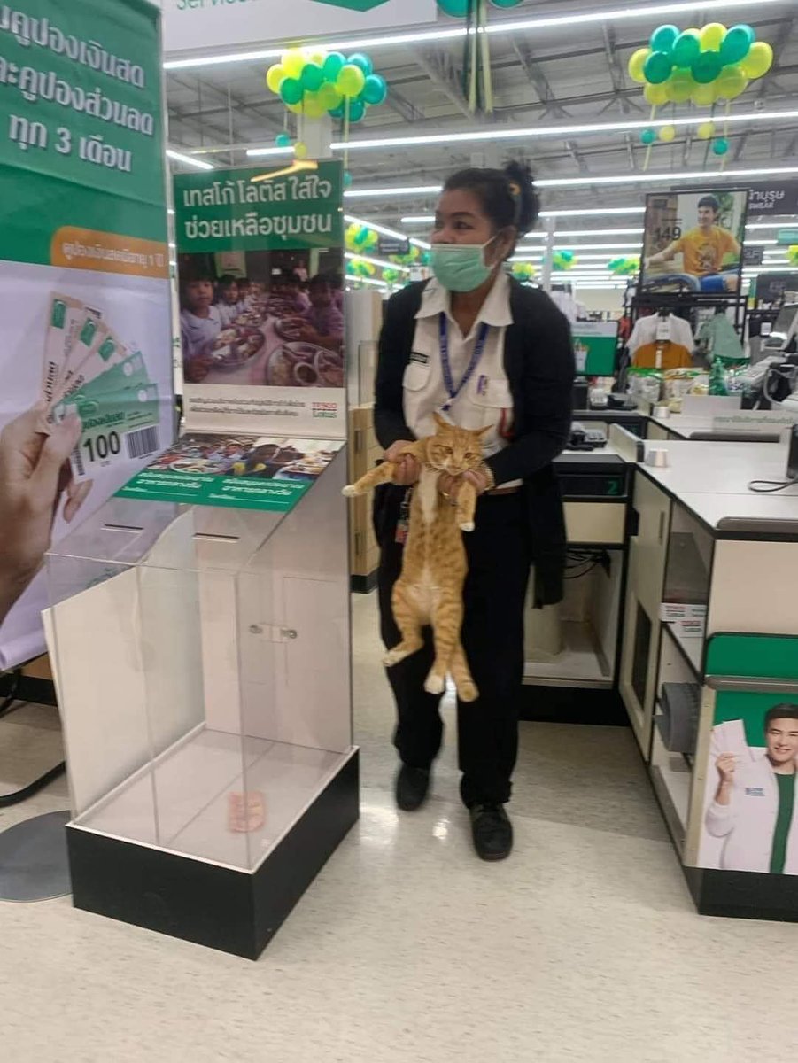 Actually, I'm the owner's son.